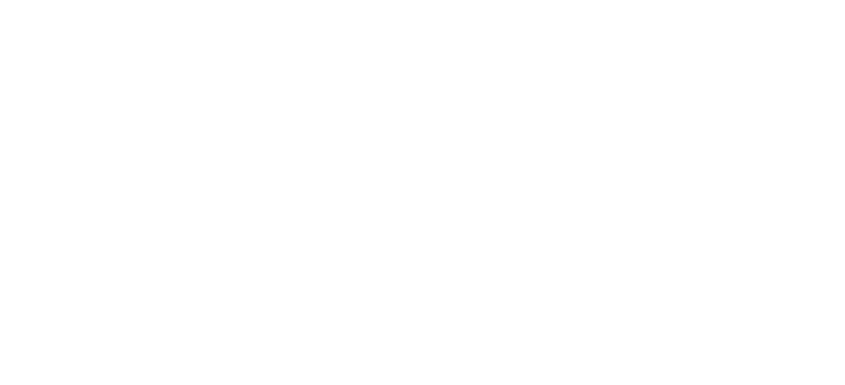 Robertoshop